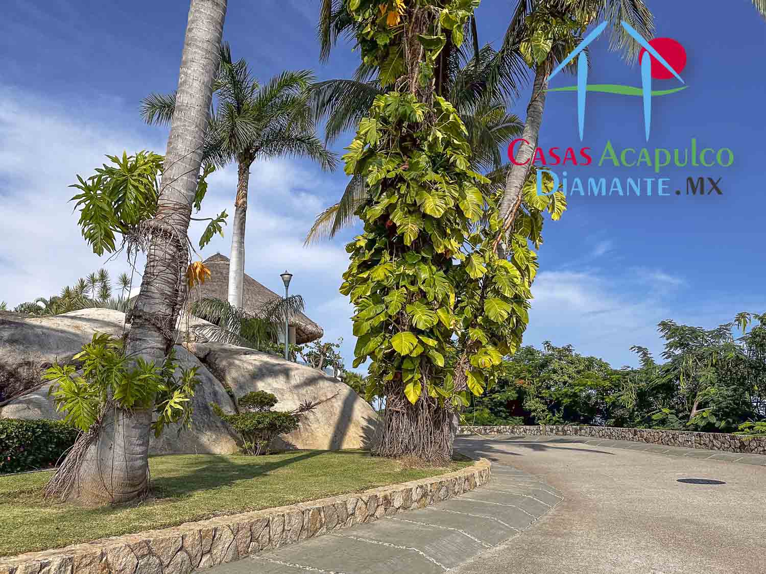 Terreno La Cima PS 14, 15 y 16 - Vialidades La Cima 9 Terreno La Cima PS 14, 15 y 16 - Vialidades La Cima 9